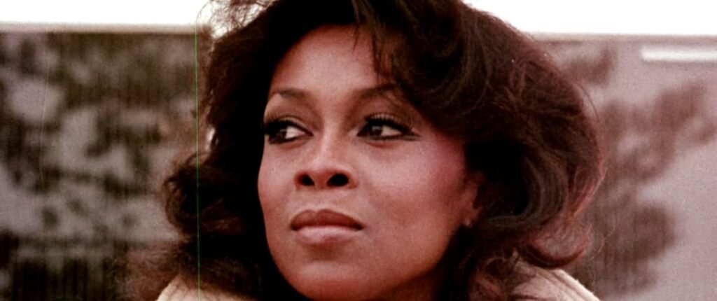 lola falana net worth